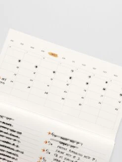 Commonplace Notebook Set(Commonplace Notebook Set) 29 Commonplace Notebook Set(Commonplace Notebook Set) -Cloth And Paper Shop 05.29.25 EC May2025 CommonPlace Notebook Set 17