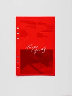 For Your Eyes Only Dashboard Duo(For Your Eyes Only Dashboard Duo)