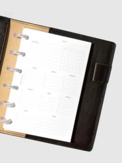 Cleaning Planner Inserts(Cleaning Planner Inserts) -Cloth And Paper Shop Cleaning Planner Inserts CPPetite CP 1