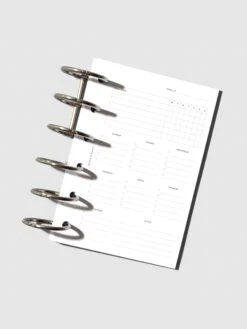Cleaning Planner Inserts(Cleaning Planner Inserts) -Cloth And Paper Shop Cleaning Planner Inserts Pocket CP 1