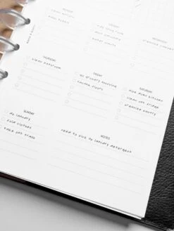 Cleaning Planner Inserts(Cleaning Planner Inserts) -Cloth And Paper Shop Cleaning Inserts HalfLetter 4 e1c04aaa 0524 4227 a509 930fe768b11b