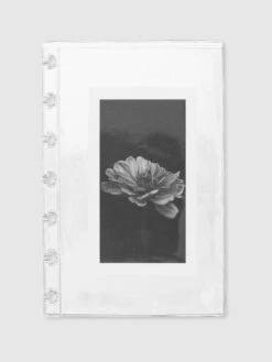 Crystal Clear Document Pocket(Crystal Clear Document Pocket) -Cloth And Paper Shop Crystal Clear Document Pocket Hp Mini CP 2 c93ff3c5 2e80 44b2 aa6d 072ecbb867f3