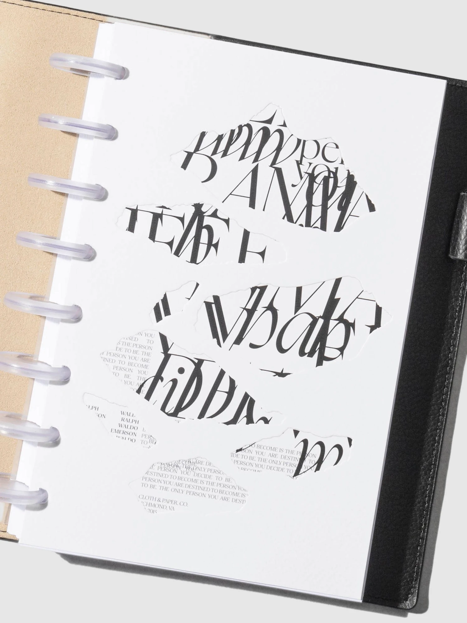 Decide To Be Dashboard(Decide To Be Dashboard) 6 Decide To Be Dashboard(Decide To Be Dashboard) - Image 6