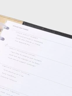 Detailed Task Planner Inserts(Detailed Task Planner Inserts) 17 Detailed Task Planner Inserts(Detailed Task Planner Inserts) -Cloth And Paper Shop Detailed Task Planner Inserts HPClassic CP 2