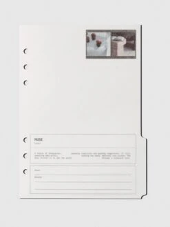 Editorial Vellum Planner Dividers(Editorial Vellum Dividers) -Cloth And Paper Shop Editorial Vellum Planner Dividers FrontRow Collection A5 CP 6