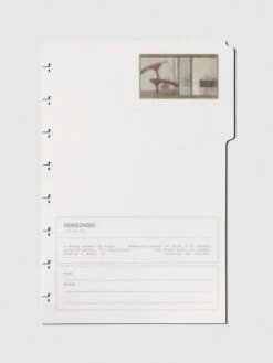 Editorial Vellum Planner Dividers(Editorial Vellum Dividers) -Cloth And Paper Shop Editorial Vellum Planner Dividers FrontRow Collection Half Letter CP 3