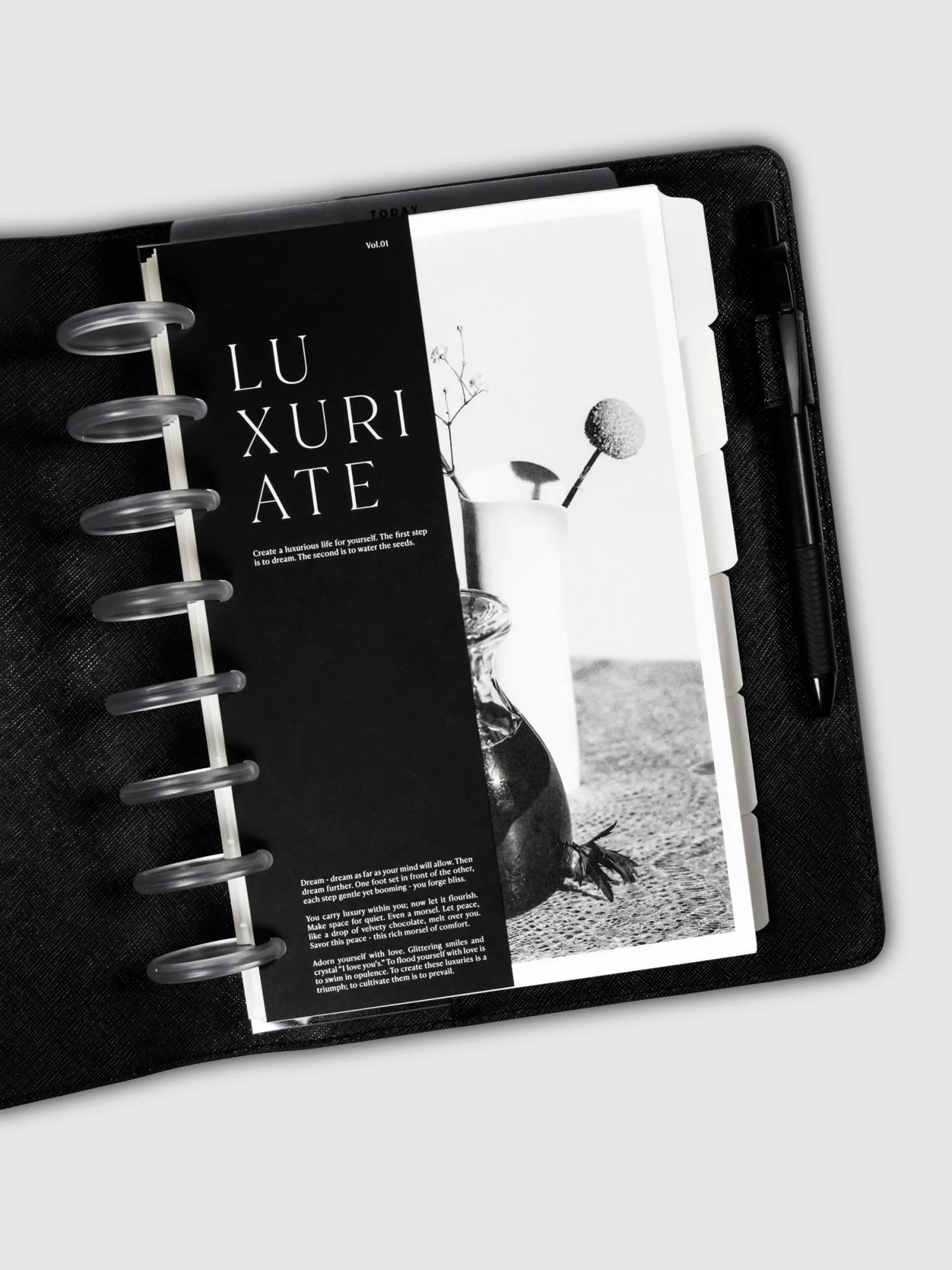 Luxuriate Planner Dashboard Duo(Luxuriate Planner Dashboard Duo) 3 Luxuriate Planner Dashboard Duo(Luxuriate Planner Dashboard Duo) - Image 3