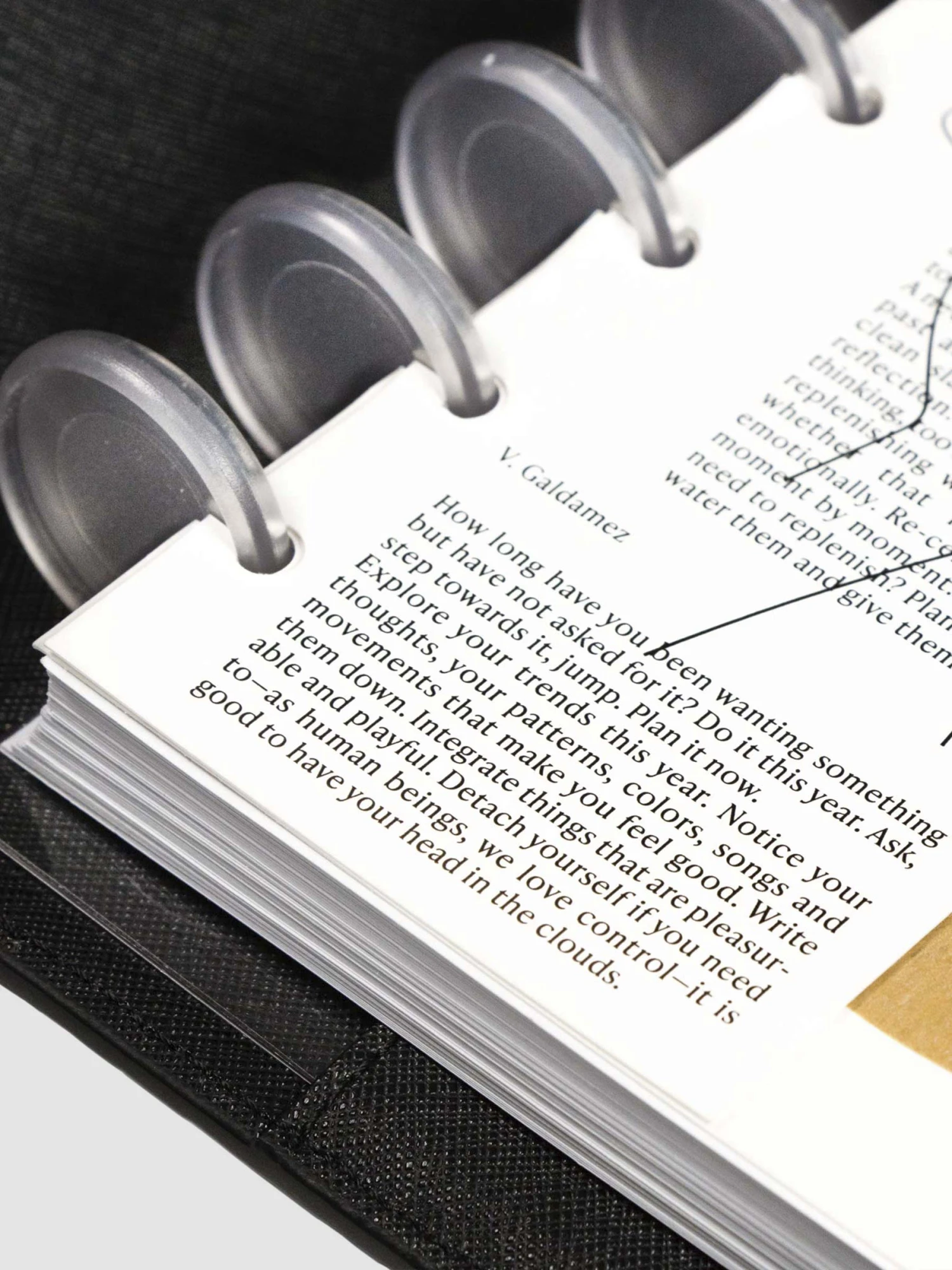 New Beginnings Half Planner Dashboard(New Beginnings Half Planner Dashboard) 2 New Beginnings Half Planner Dashboard(New Beginnings Half Planner Dashboard) - Image 2